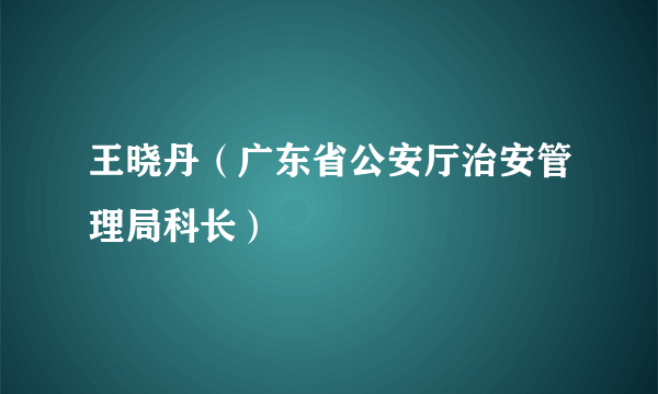 王晓丹（广东省公安厅治安管理局科长）