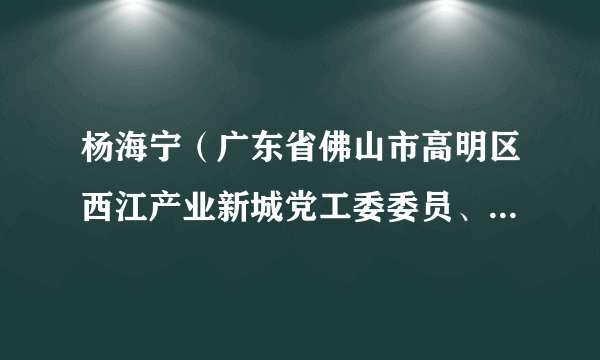 杨海宁（广东省佛山市高明区西江产业新城党工委委员、管委会副主任）