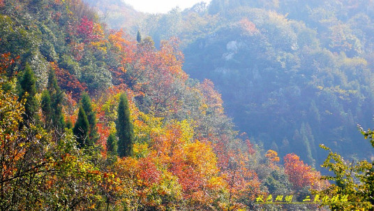 六盘水市钟山区凉都省级森林公园