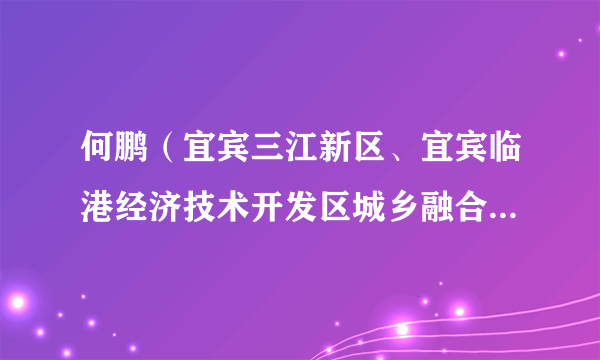 何鹏（宜宾三江新区、宜宾临港经济技术开发区城乡融合发展局局长，宜宾三江新区生态环境局局长）