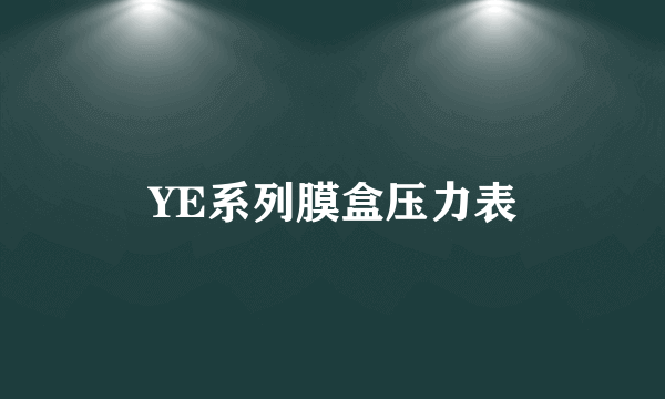 YE系列膜盒压力表