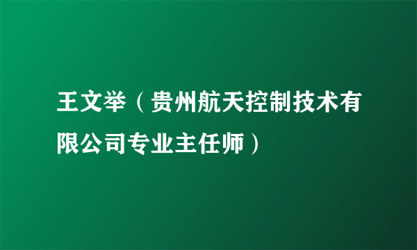 王文举（贵州航天控制技术有限公司专业主任师）