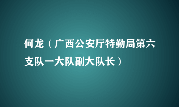 何龙（广西公安厅特勤局第六支队一大队副大队长）