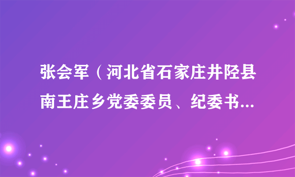 张会军（河北省石家庄井陉县南王庄乡党委委员、纪委书记、监察办主任）