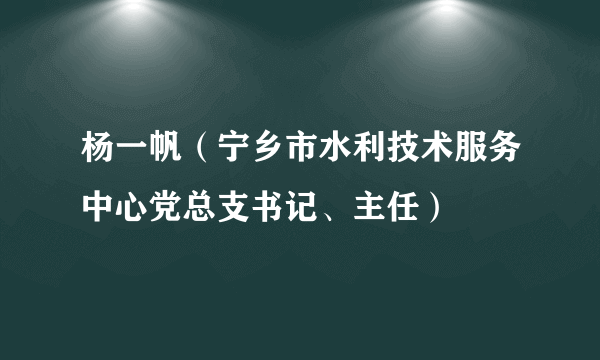 杨一帆（宁乡市水利技术服务中心党总支书记、主任）