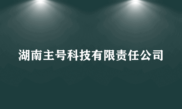 湖南主号科技有限责任公司