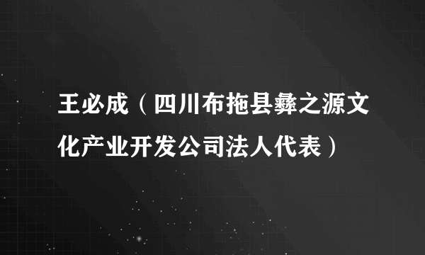 王必成（四川布拖县彝之源文化产业开发公司法人代表）