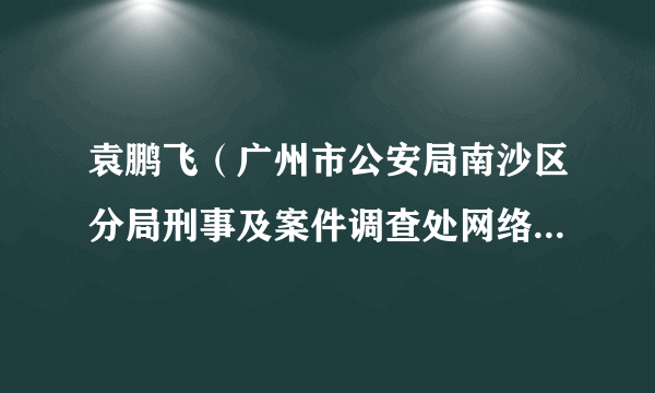 袁鹏飞（广州市公安局南沙区分局刑事及案件调查处网络及科技犯罪调查大队副大队长）