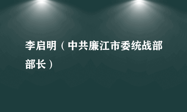 李启明（中共廉江市委统战部部长）