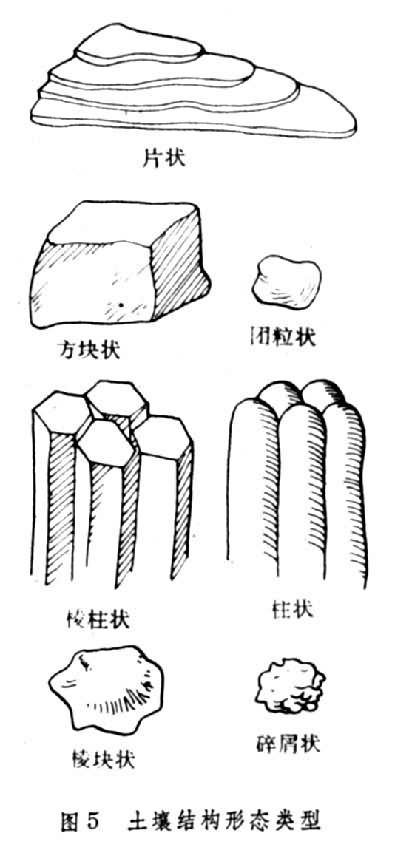 土壤结构