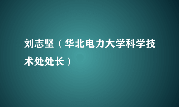 刘志坚（华北电力大学科学技术处处长）