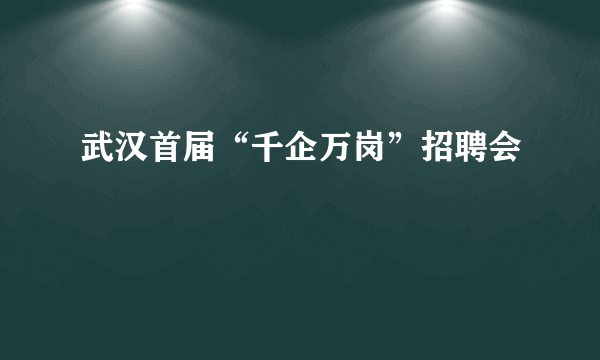 武汉首届“千企万岗”招聘会