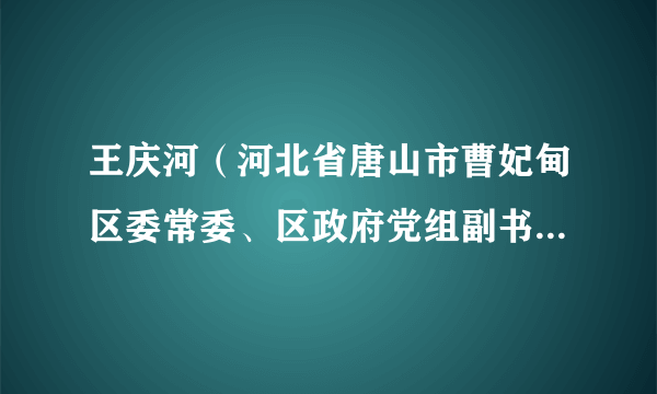 王庆河（河北省唐山市曹妃甸区委常委、区政府党组副书记、曹妃甸区人民政府常务副区长）