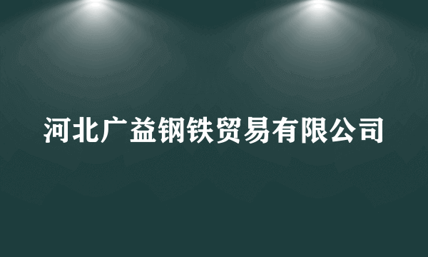 河北广益钢铁贸易有限公司