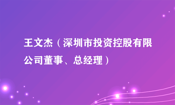 王文杰（深圳市投资控股有限公司董事、总经理）