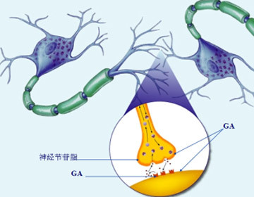 精神学