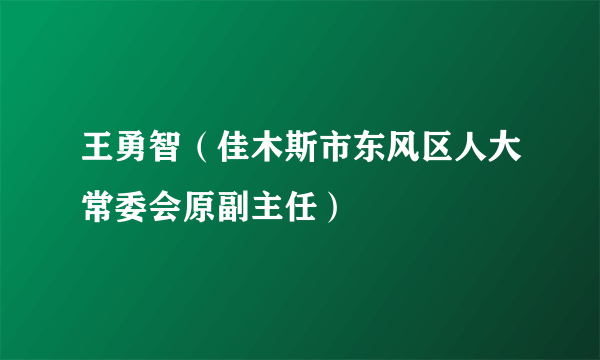 王勇智（佳木斯市东风区人大常委会原副主任）