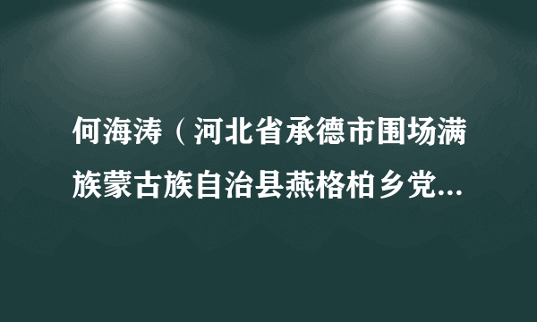 何海涛（河北省承德市围场满族蒙古族自治县燕格柏乡党委委员、纪委书记）