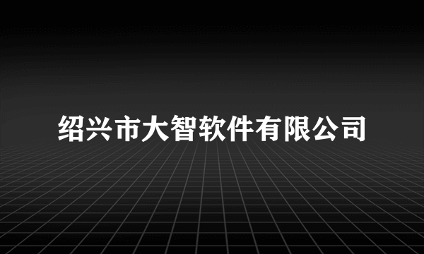 绍兴市大智软件有限公司