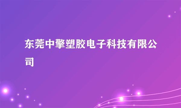 东莞中擎塑胶电子科技有限公司