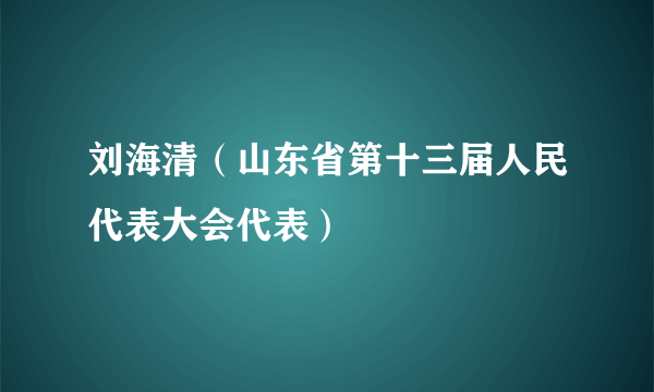 刘海清（山东省第十三届人民代表大会代表）