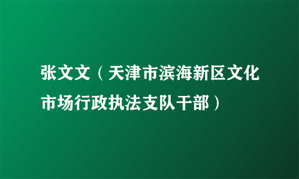 张文文（天津市滨海新区文化市场行政执法支队干部）