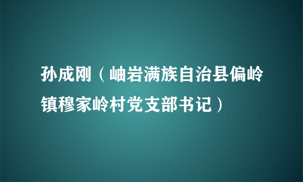 孙成刚（岫岩满族自治县偏岭镇穆家岭村党支部书记）