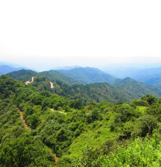 黄龙山（陕西地区旅游景点）