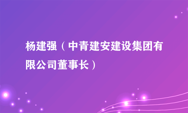 杨建强（中青建安建设集团有限公司董事长）