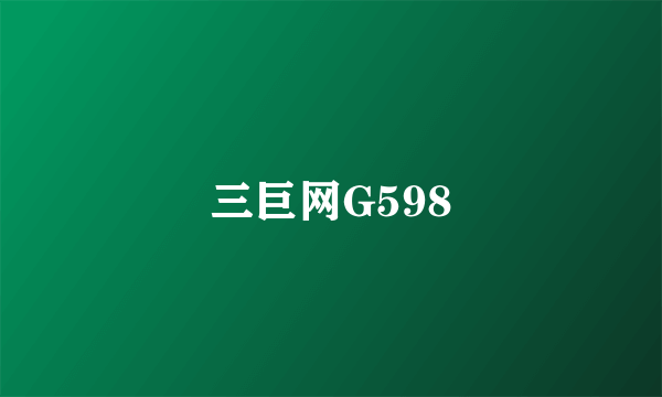 三巨网G598