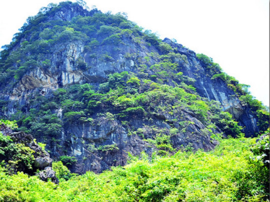 金子山（青川县金子山）