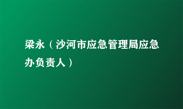 梁永（沙河市应急管理局应急办负责人）