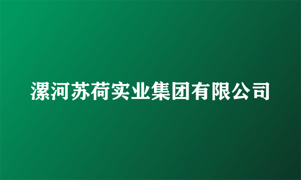 漯河苏荷实业集团有限公司