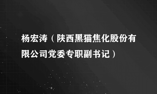 杨宏涛（陕西黑猫焦化股份有限公司党委专职副书记）