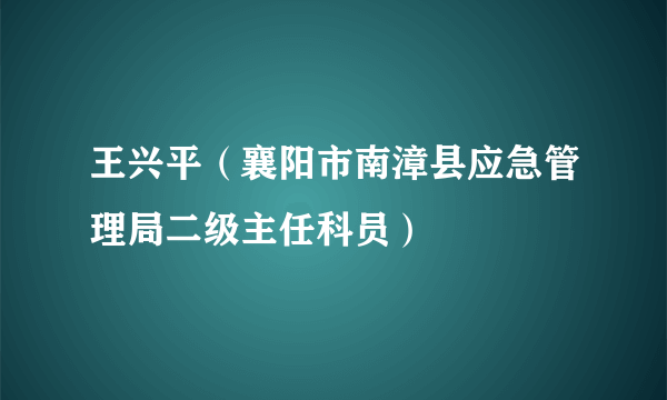 王兴平（襄阳市南漳县应急管理局二级主任科员）