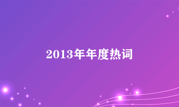 2013年年度热词