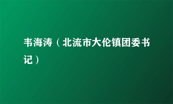 韦海涛（北流市大伦镇团委书记）