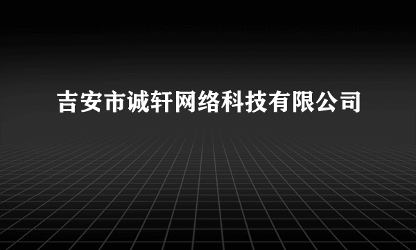 吉安市诚轩网络科技有限公司