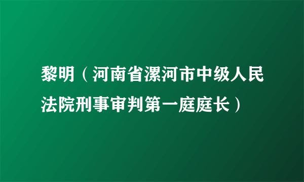 黎明（河南省漯河市中级人民法院刑事审判第一庭庭长）