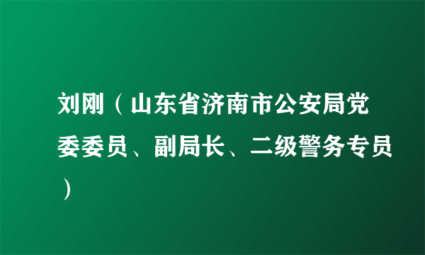 刘刚（山东省济南市公安局党委委员、副局长、二级警务专员）