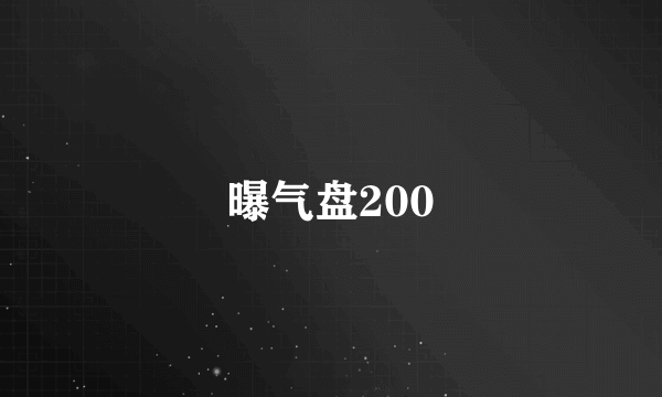 曝气盘200