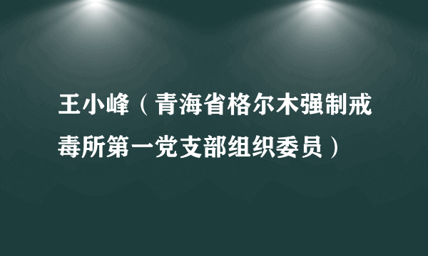 王小峰（青海省格尔木强制戒毒所第一党支部组织委员）