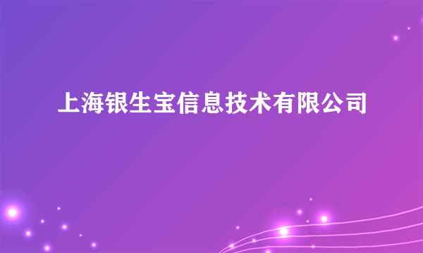 上海银生宝信息技术有限公司