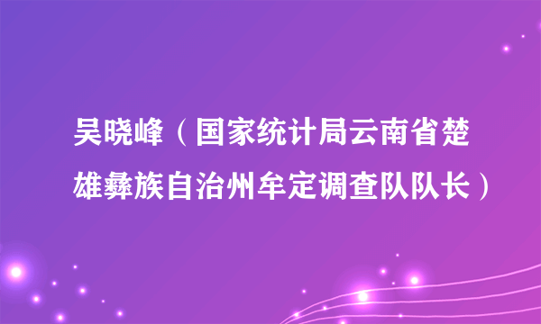 吴晓峰（国家统计局云南省楚雄彝族自治州牟定调查队队长）