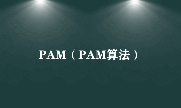 PAM（PAM算法）