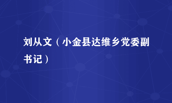 刘从文（小金县达维乡党委副书记）