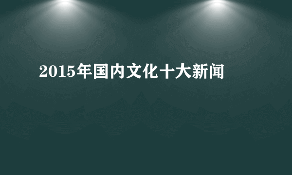 2015年国内文化十大新闻