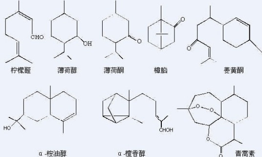 萜烯