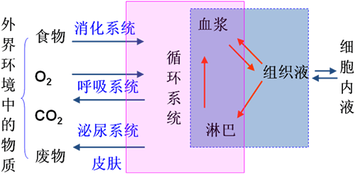 细胞的外渗透压和内渗透压到底什么意思？外渗透压是内液浓度比外液高，从而细胞外的水进入细胞吗？