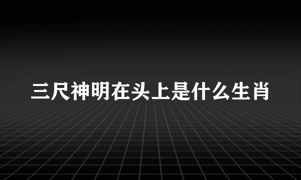 三尺神明在头上是什么生肖